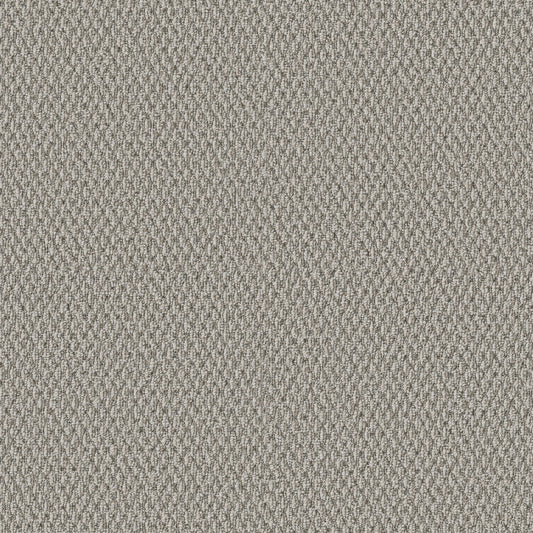 Shaw Floors - Carpet - Simply the Best Values Collection - Stonebrook - 12' - Wool Mix