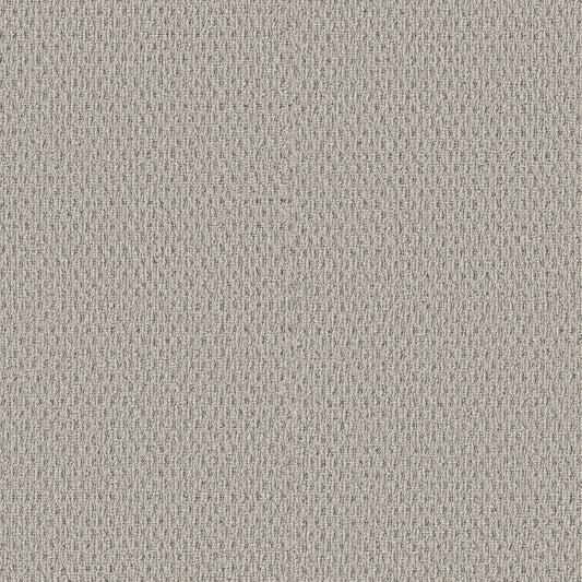 Shaw Floors - Carpet - Simply the Best Values Collection - Stonebrook - 12' - Sand Fossil