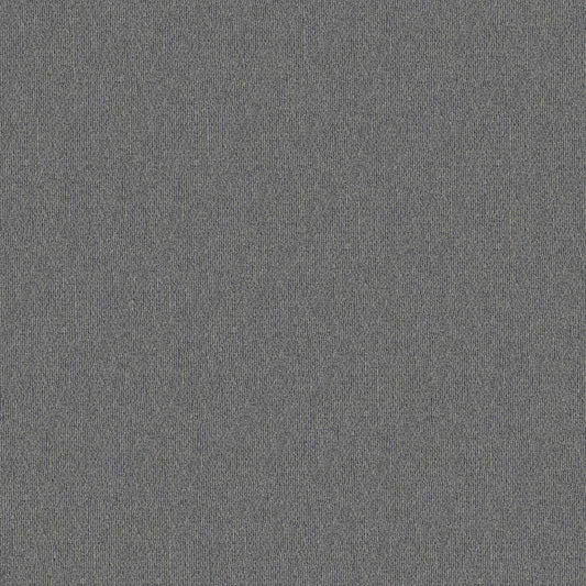 Shaw Floors - Carpet - Simply the Best Values Collection - Stonebrook - 12' - Denim