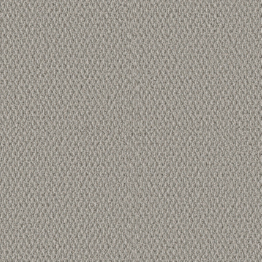 Shaw Floors - Carpet - Simply the Best Values Collection - Stonebrook - 12' - Pewter
