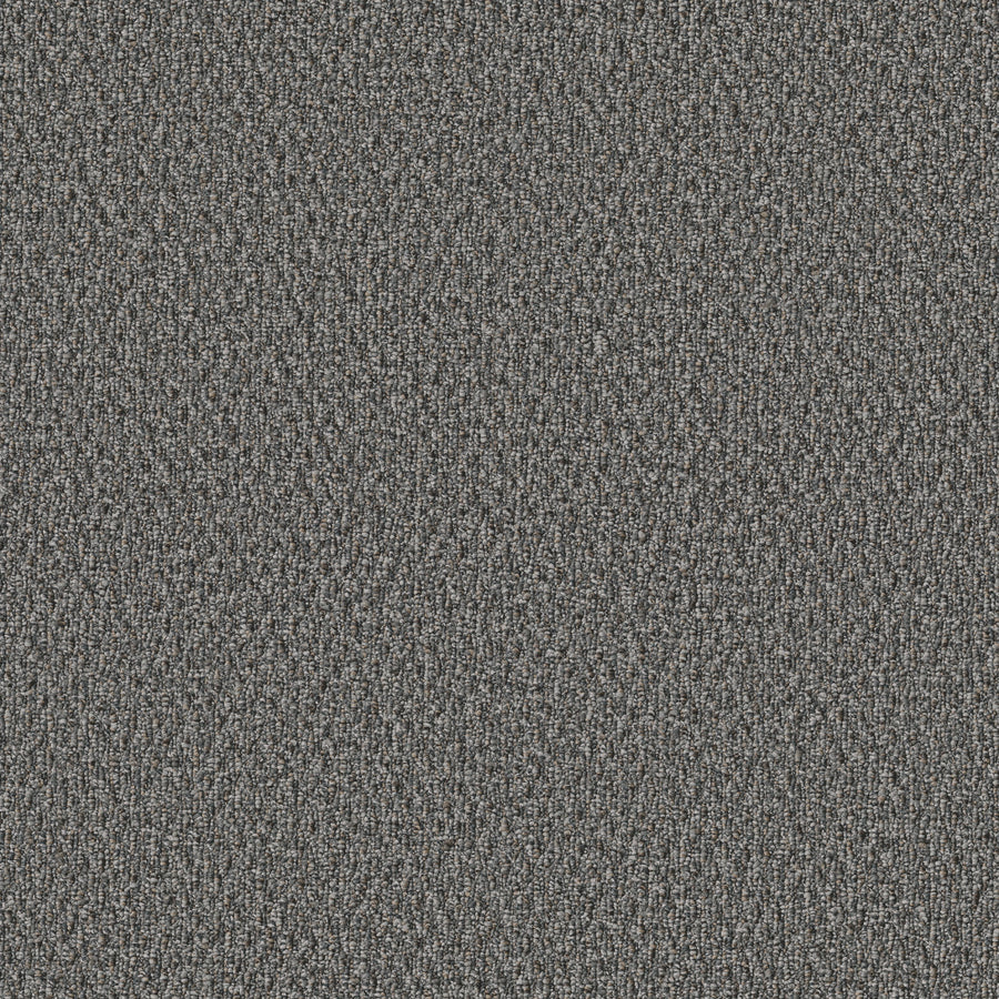 Shaw Floors - Carpet - Simply the Best Values Collection - Stonebrook - 12' - Night Fall