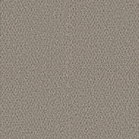 Shaw Floors - Carpet - Simply the Best Values Collection - Stonebrook - 12' - Weathered Wood