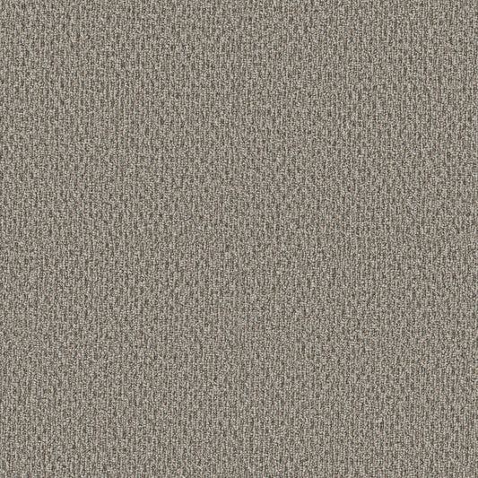 Shaw Floors - Carpet - Simply the Best Values Collection - Stonebrook - 12' - Fieldstone