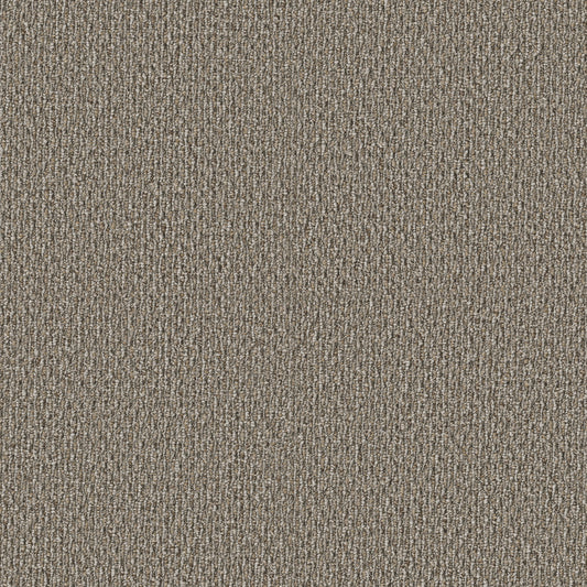 Shaw Floors - Carpet - Simply the Best Values Collection - Stonebrook - 12' - Walnut Grove