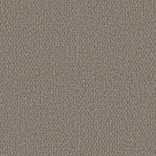 Shaw Floors - Carpet - Simply the Best Values Collection - Stonebrook - 12' - Creek Bed