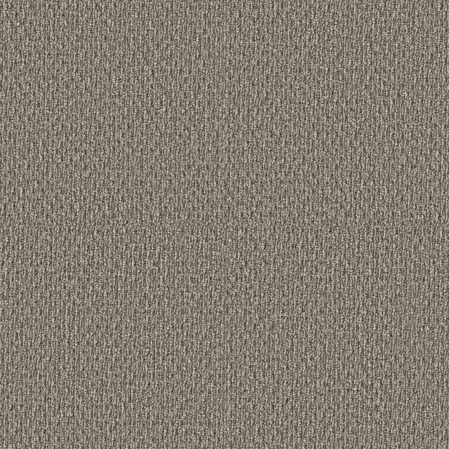 Shaw Floors - Carpet - Simply the Best Values Collection - Stonebrook - 12' - Creek Bed