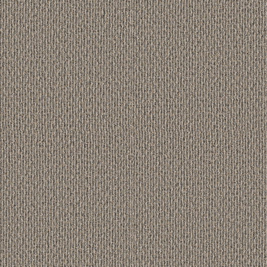 Shaw Floors - Carpet - Simply the Best Values Collection - Stonebrook - 12' - Bungalow