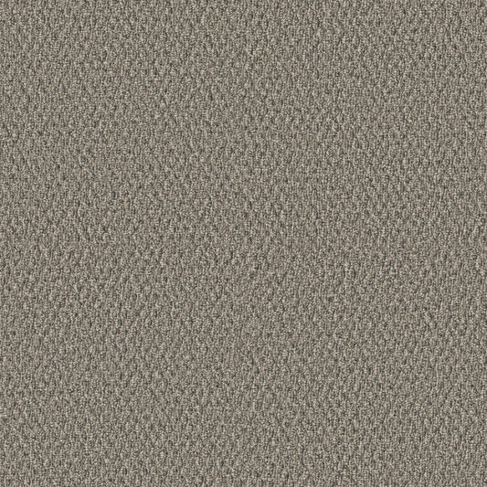 Shaw Floors - Carpet - Simply the Best Values Collection - Stonebrook - 12' - Natures Design