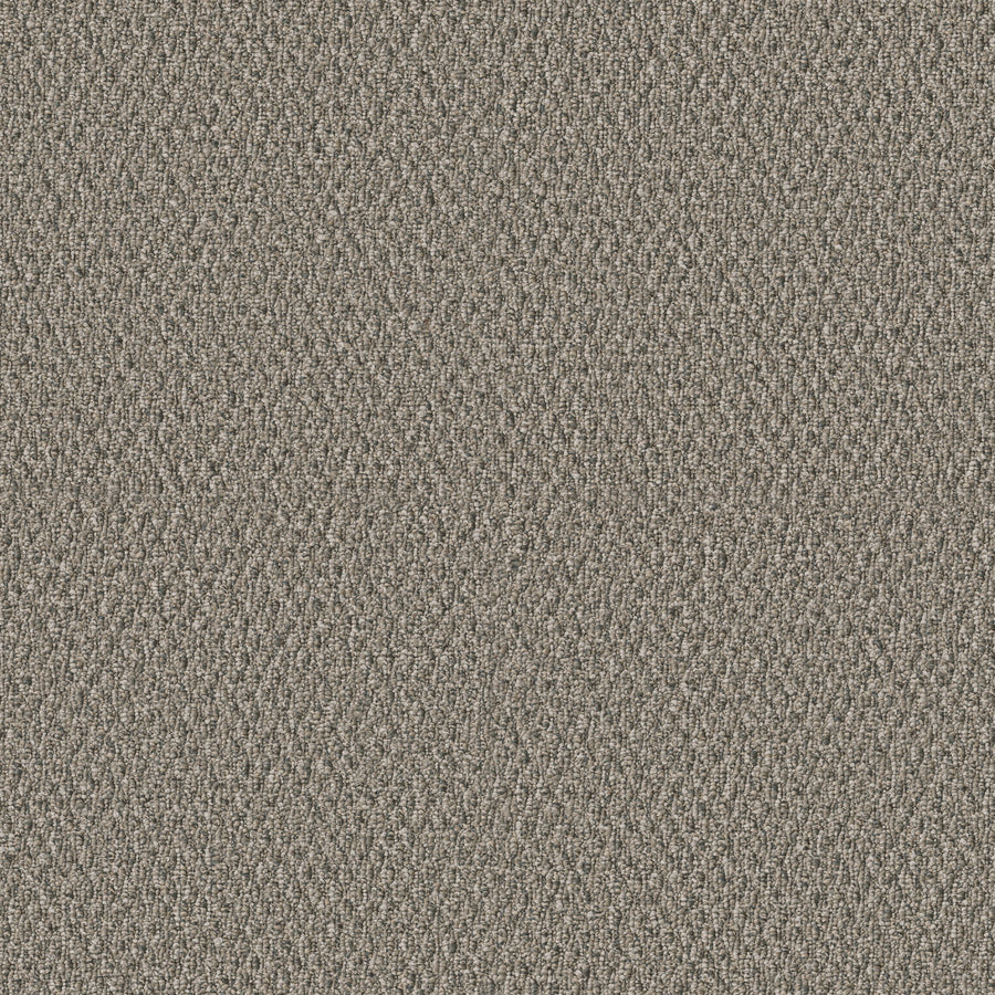 Shaw Floors - Carpet - Simply the Best Values Collection - Stonebrook - 12' - Natures Design