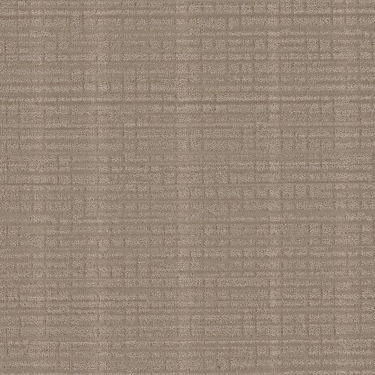 Shaw Floors - Carpet - Pet Perfect Collection - Skyline Shift - 12' - Cobblestone