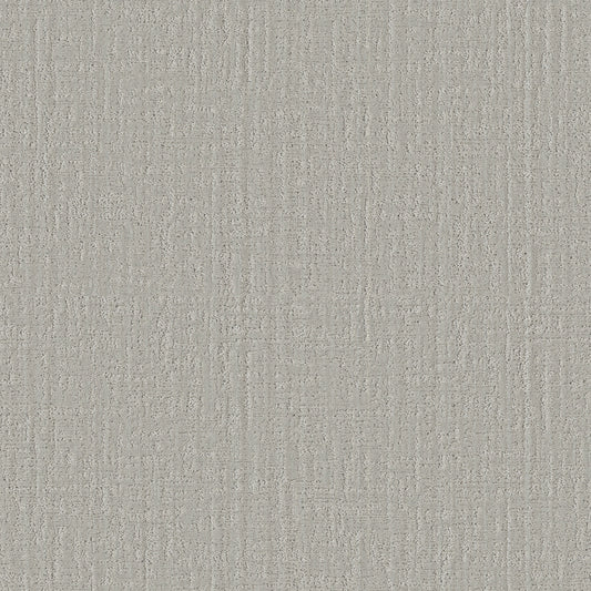 Shaw Floors - Carpet - Pet Perfect Collection - Shady Stroll - 12' - Silver Cloud