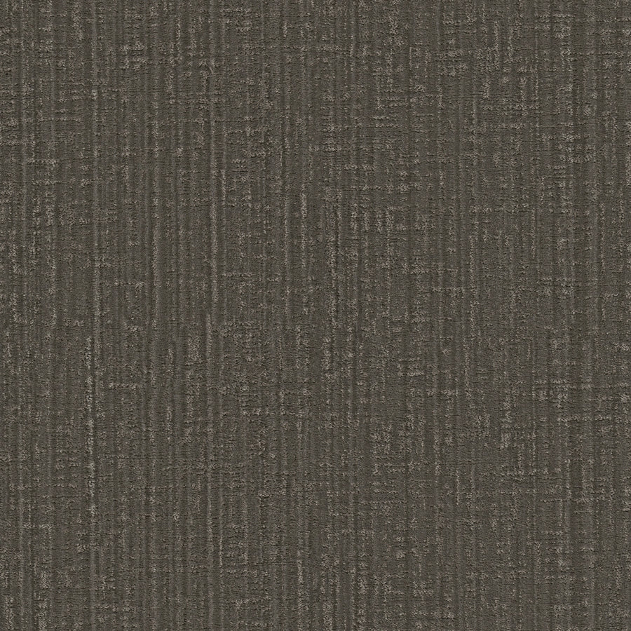 Shaw Floors - Carpet - Pet Perfect Collection - Shady Stroll - 12' - Tree Bark