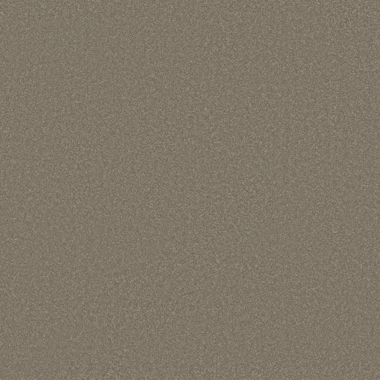 Shaw Floors - Carpet - Classics Collection - Awaken Spirit I 12' - 12' - Bungalow