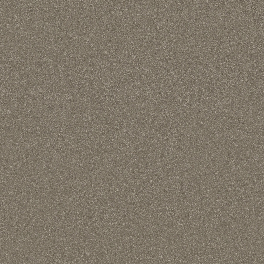 Shaw Floors - Carpet - Classics Collection - Awaken Spirit I 12' - 12' - Bungalow