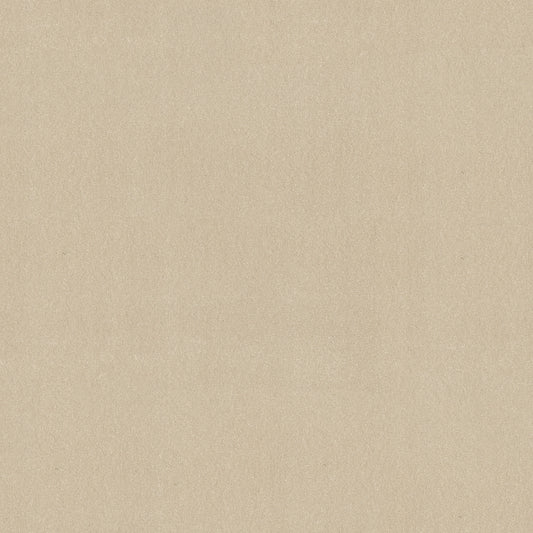 Shaw Floors - Carpet - Classics Collection - Awaken Spirit II 12' - 12' - Cottage