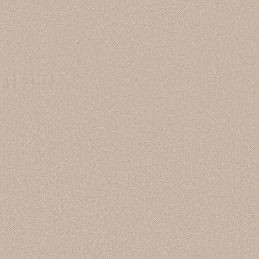 Shaw Floors - Carpet - Classics Collection - Awaken Spirit II 12' - 12' - Spun Wool