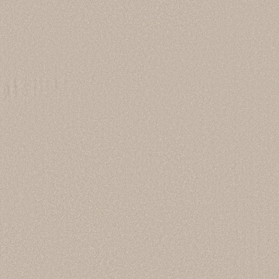 Shaw Floors - Carpet - Classics Collection - Awaken Spirit II 12' - 12' - Spun Wool