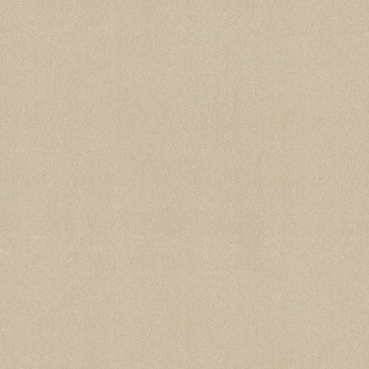 Shaw Floors - Carpet - Classics Collection - Awaken Spirit II 12' - 12' - Windfresh