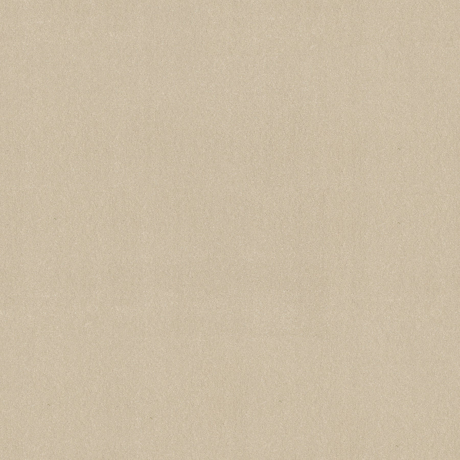 Shaw Floors - Carpet - Classics Collection - Awaken Spirit II 12' - 12' - Windfresh