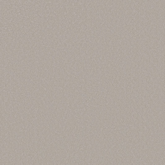 Shaw Floors - Carpet - Classics Collection - Awaken Spirit II 12' - 12' - Ice Cube