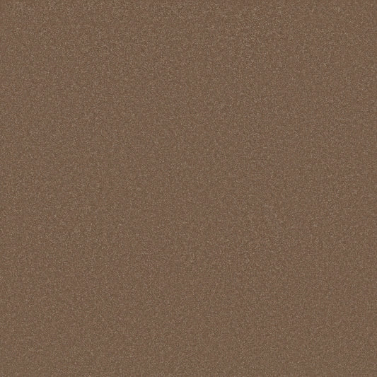 Shaw Floors - Carpet - Classics Collection - Awaken Spirit II 15' - 15' - Copperglaze