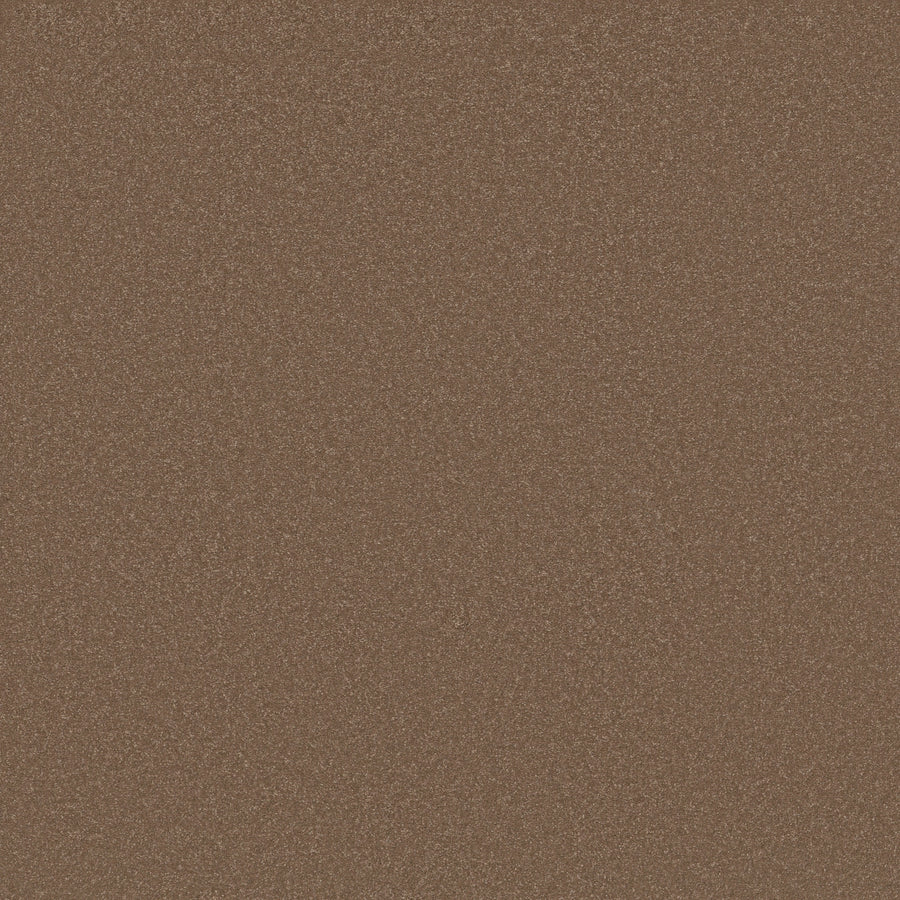 Shaw Floors - Carpet - Classics Collection - Awaken Spirit II 15' - 15' - Copperglaze