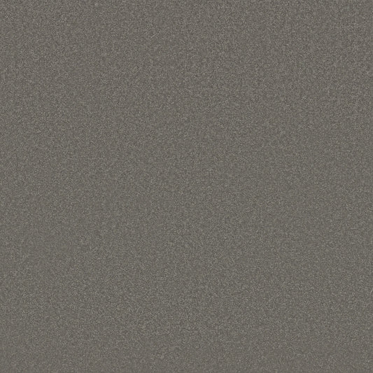 Shaw Floors - Carpet - Classics Collection - Awaken Spirit II 15' - 15' - Taupetone