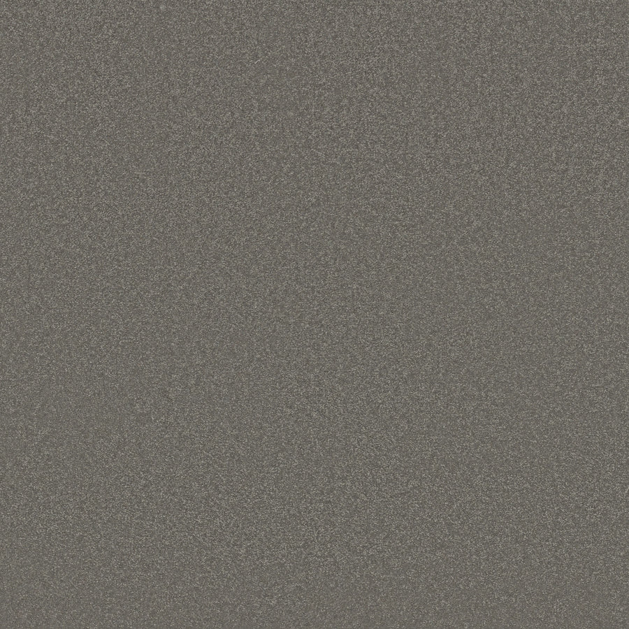 Shaw Floors - Carpet - Classics Collection - Awaken Spirit II 15' - 15' - Taupetone