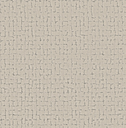 Shaw Floors - Carpet - Pet Perfect + Collection - Block Party - 12' - Marble
