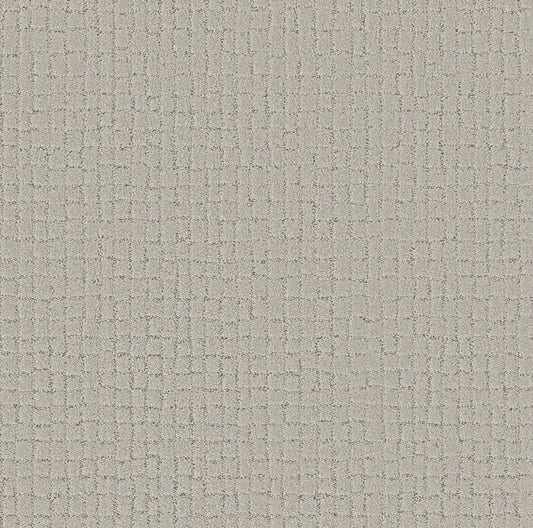 Shaw Floors - Carpet - Pet Perfect + Collection - Block Party - 12' - Cashmere