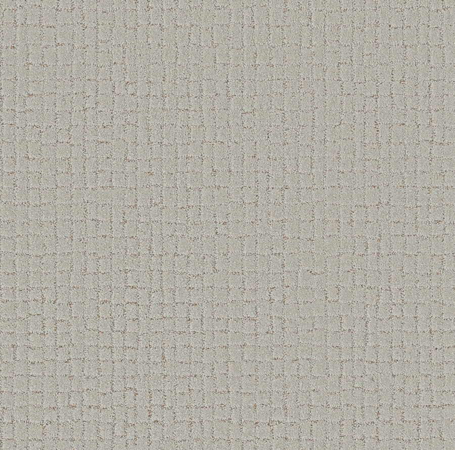 Shaw Floors - Carpet - Pet Perfect + Collection - Block Party - 12' - Cashmere