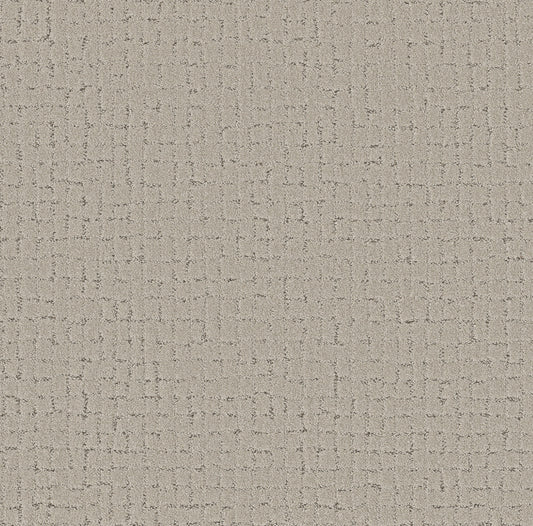 Shaw Floors - Carpet - Pet Perfect + Collection - Block Party - 12' - River Birch