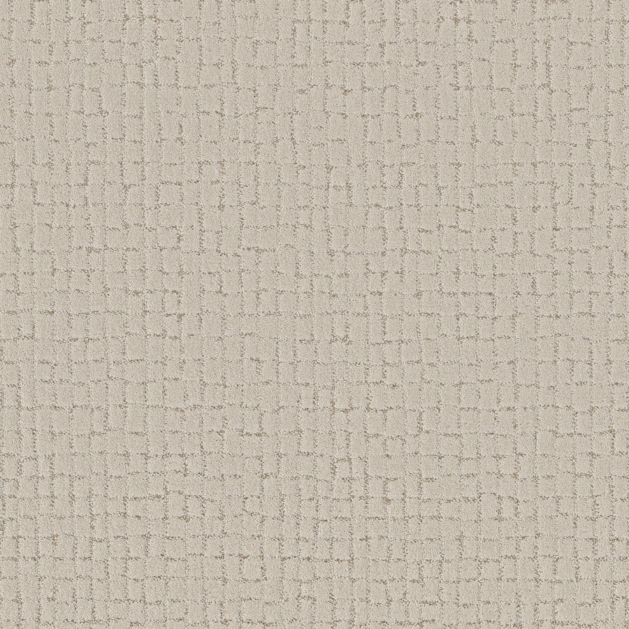 Shaw Floors - Carpet - Pet Perfect + Collection - Block Party - 12' - Natural