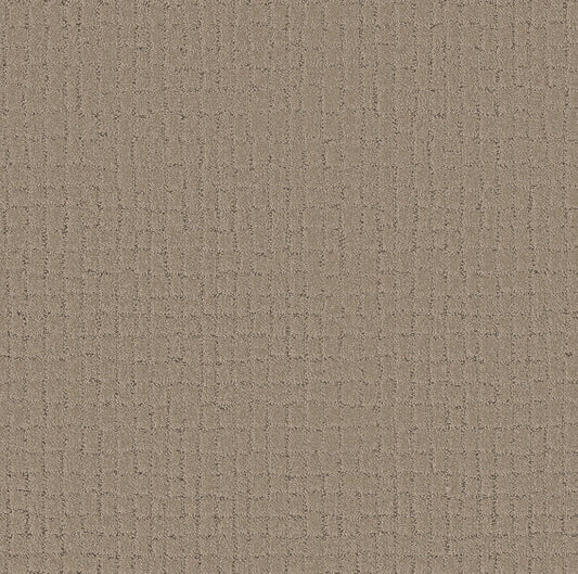 Shaw Floors - Carpet - Pet Perfect + Collection - Block Party - 12' - Cameo