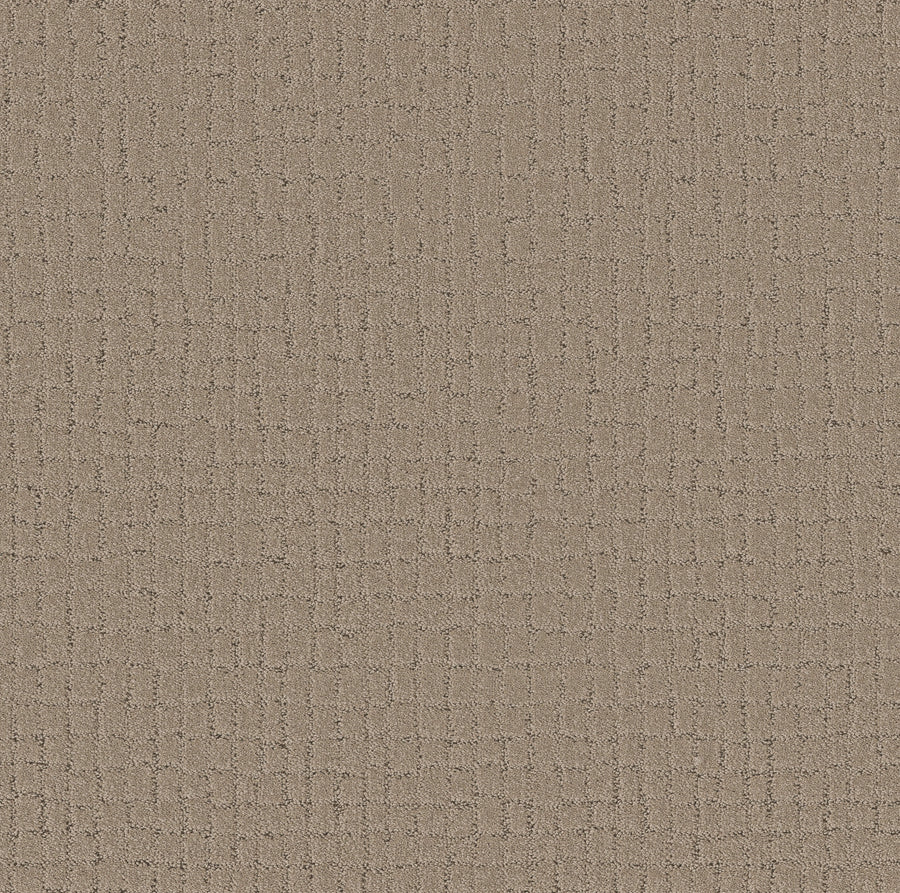 Shaw Floors - Carpet - Pet Perfect + Collection - Block Party - 12' - Cameo