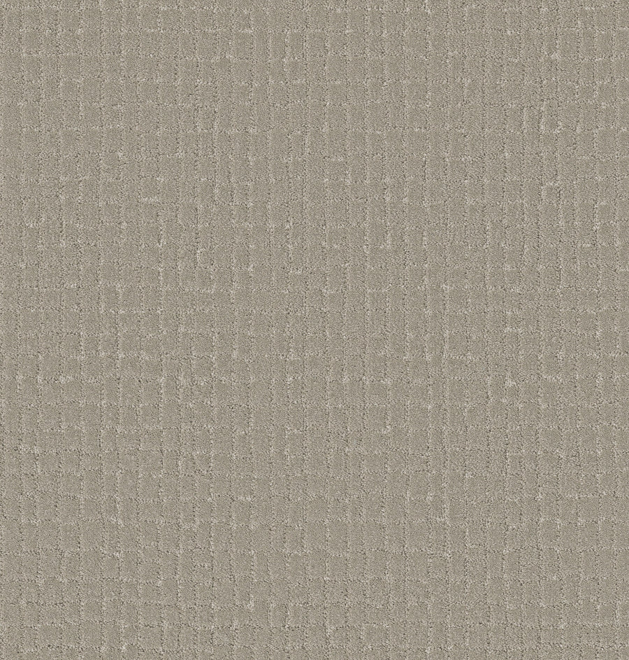 Shaw Floors - Carpet - Pet Perfect + Collection - Block Party - 12' - Sculpture