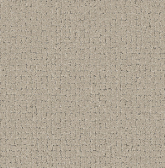 Shaw Floors - Carpet - Pet Perfect + Collection - Block Party - 12' - Warm Light