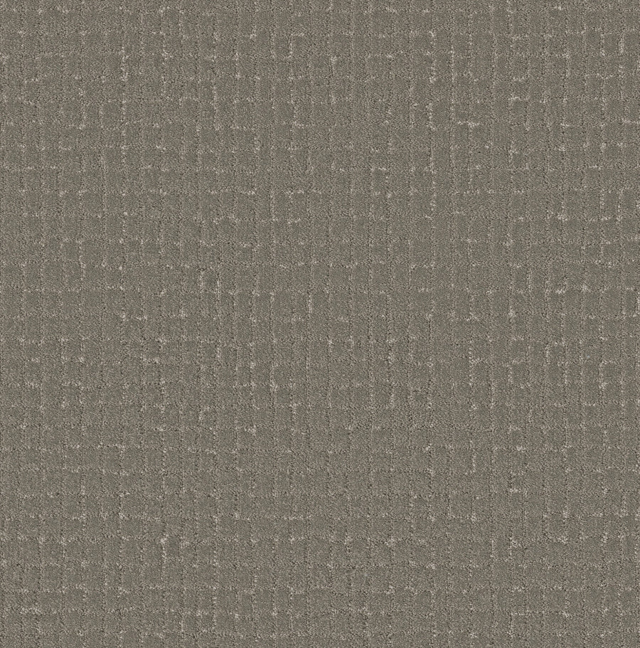 Shaw Floors - Carpet - Pet Perfect + Collection - Block Party - 12' - Ashes