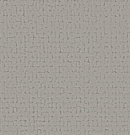 Shaw Floors - Carpet - Pet Perfect + Collection - Block Party - 12' - Flannel