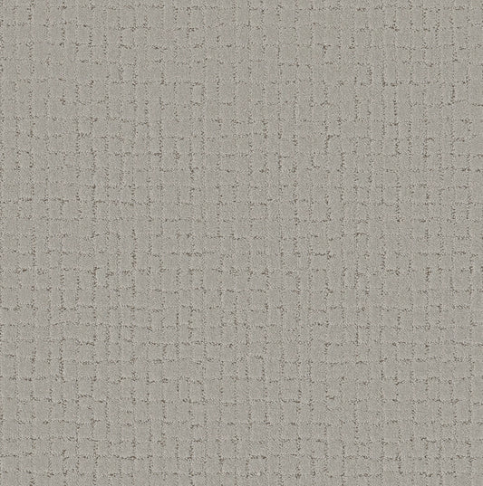 Shaw Floors - Carpet - Pet Perfect + Collection - Block Party - 12' - Gravity