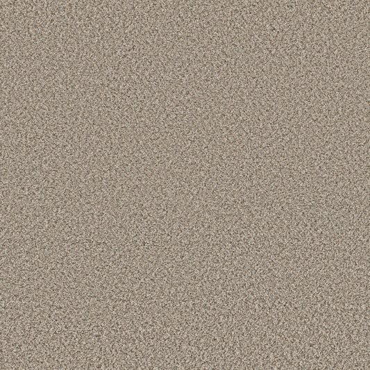 Shaw Floors - Carpet - Simply the Best Values Collection - Feelin' Alright - 12' - Flax