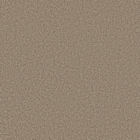 Shaw Floors - Carpet - Simply the Best Values Collection - Feelin' Alright - 12' - Blond Wood