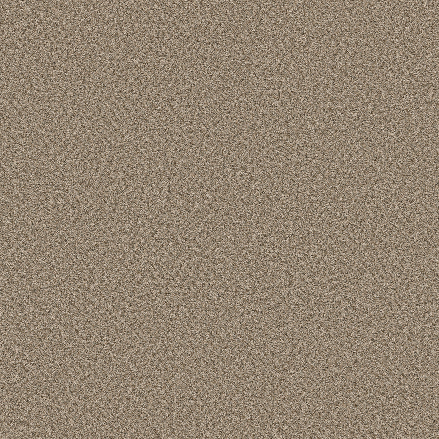 Shaw Floors - Carpet - Simply the Best Values Collection - Feelin' Alright - 12' - Blond Wood
