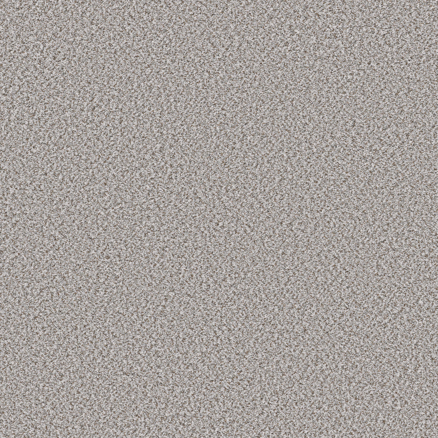 Shaw Floors - Carpet - Simply the Best Values Collection - Feelin' Alright - 12' - Snow Peak