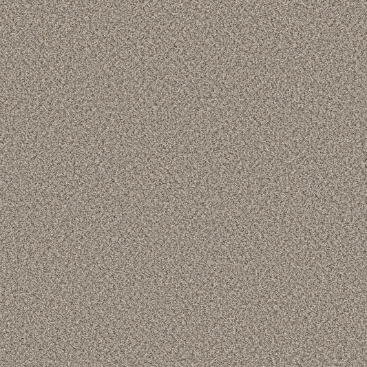 Shaw Floors - Carpet - Simply the Best Values Collection - Feelin' Alright - 12' - Stepping Stone
