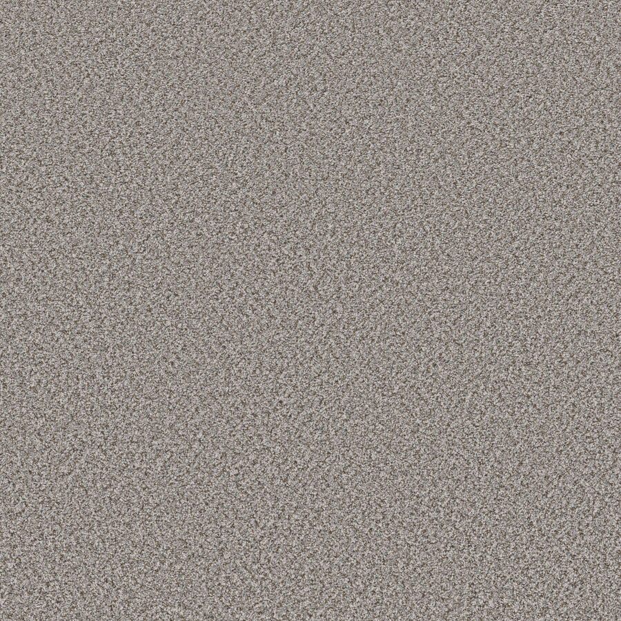 Shaw Floors - Carpet - Simply the Best Values Collection - Feelin' Alright - 12' - Exposed Beam