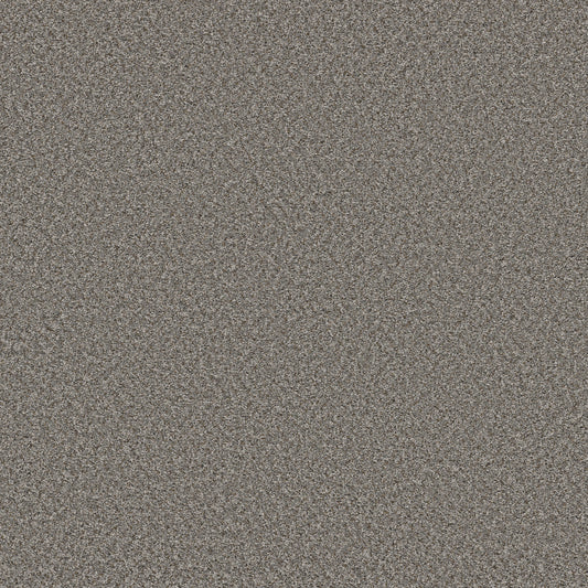 Shaw Floors - Carpet - Simply the Best Values Collection - Feelin' Alright - 12' - Washed Suede