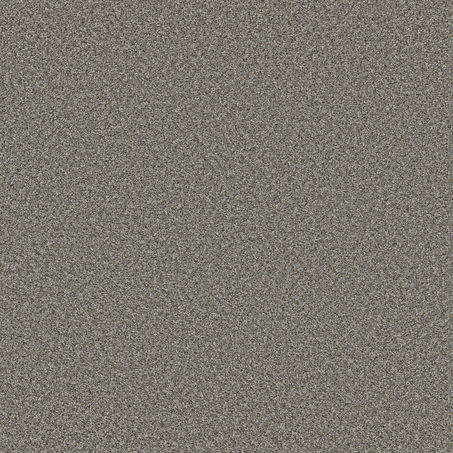 Shaw Floors - Carpet - Simply the Best Values Collection - Feelin' Alright - 12' - Washed Suede