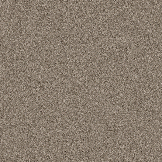 Shaw Floors - Carpet - Simply the Best Values Collection - Feelin' Alright - 12' - Nature Trail