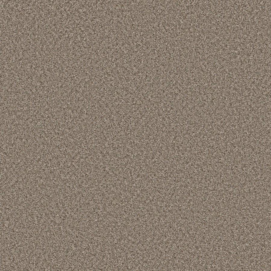 Shaw Floors - Carpet - Simply the Best Values Collection - Feelin' Alright - 12' - Nature Trail